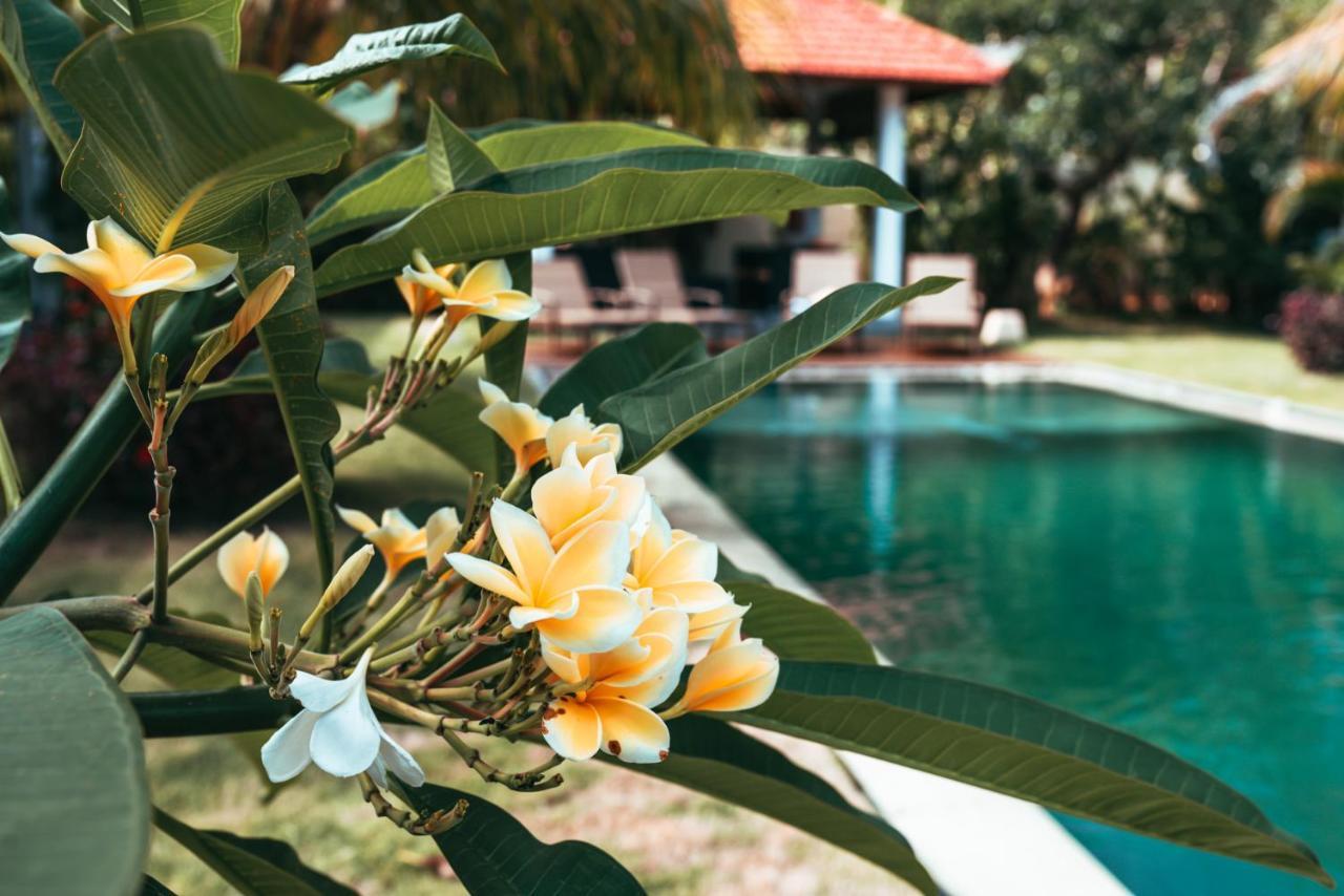 Bali Mynah Villas Resort Jimbaran Екстериор снимка
